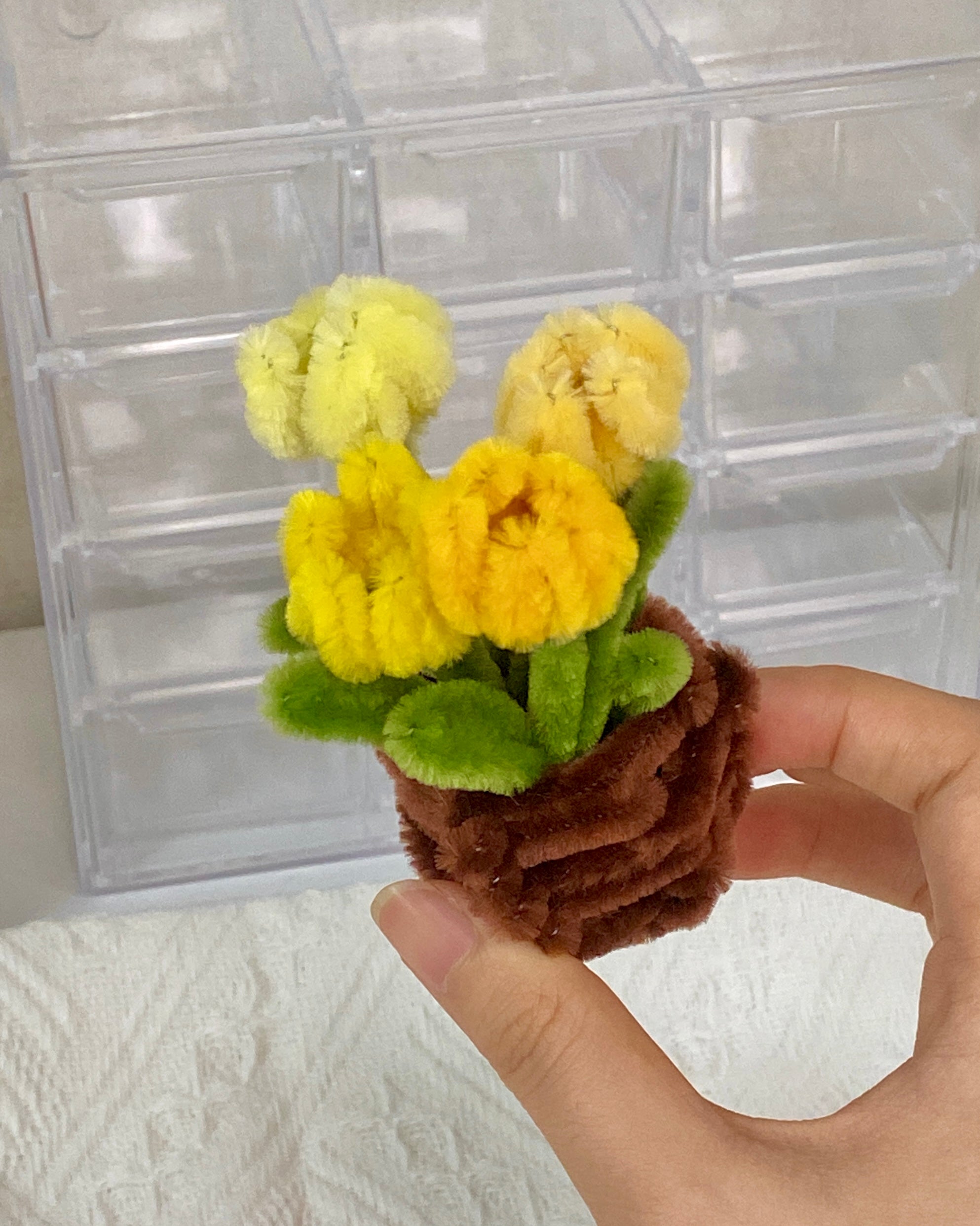 Mini Tulip Flower Pot DIY Kit