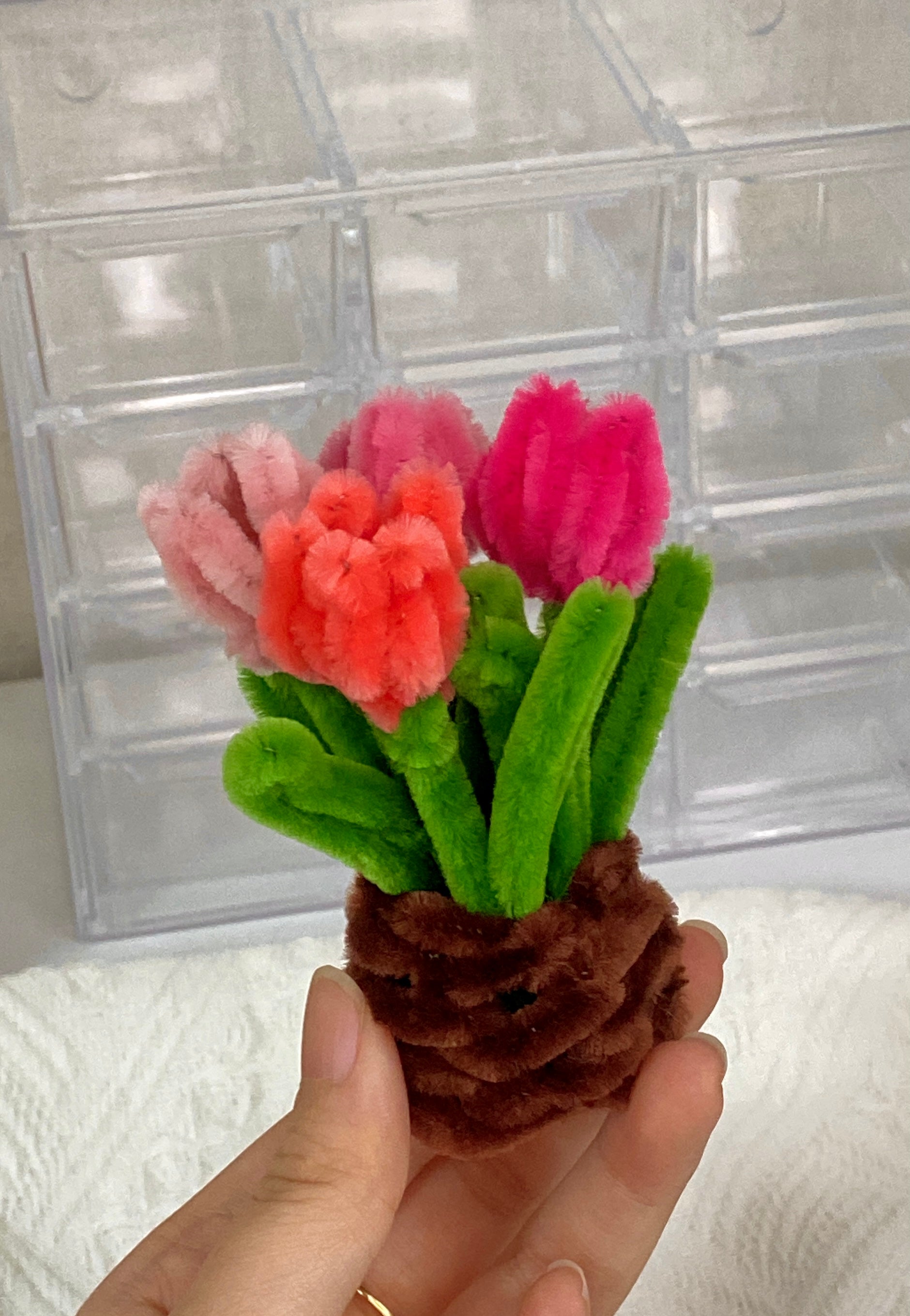 Mini Tulip Flower Pot DIY Kit