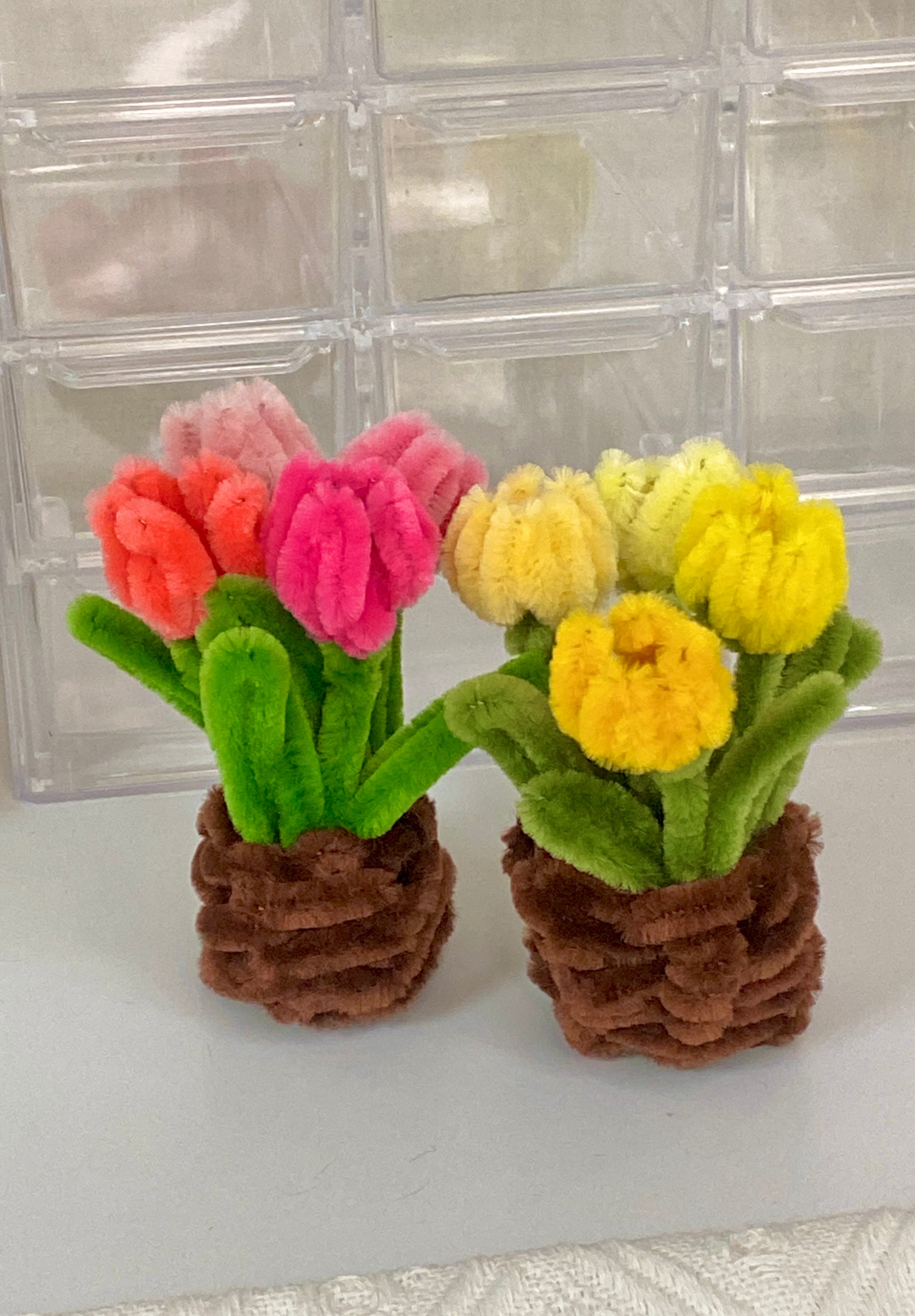 Mini Tulip Flower Pot DIY Kit