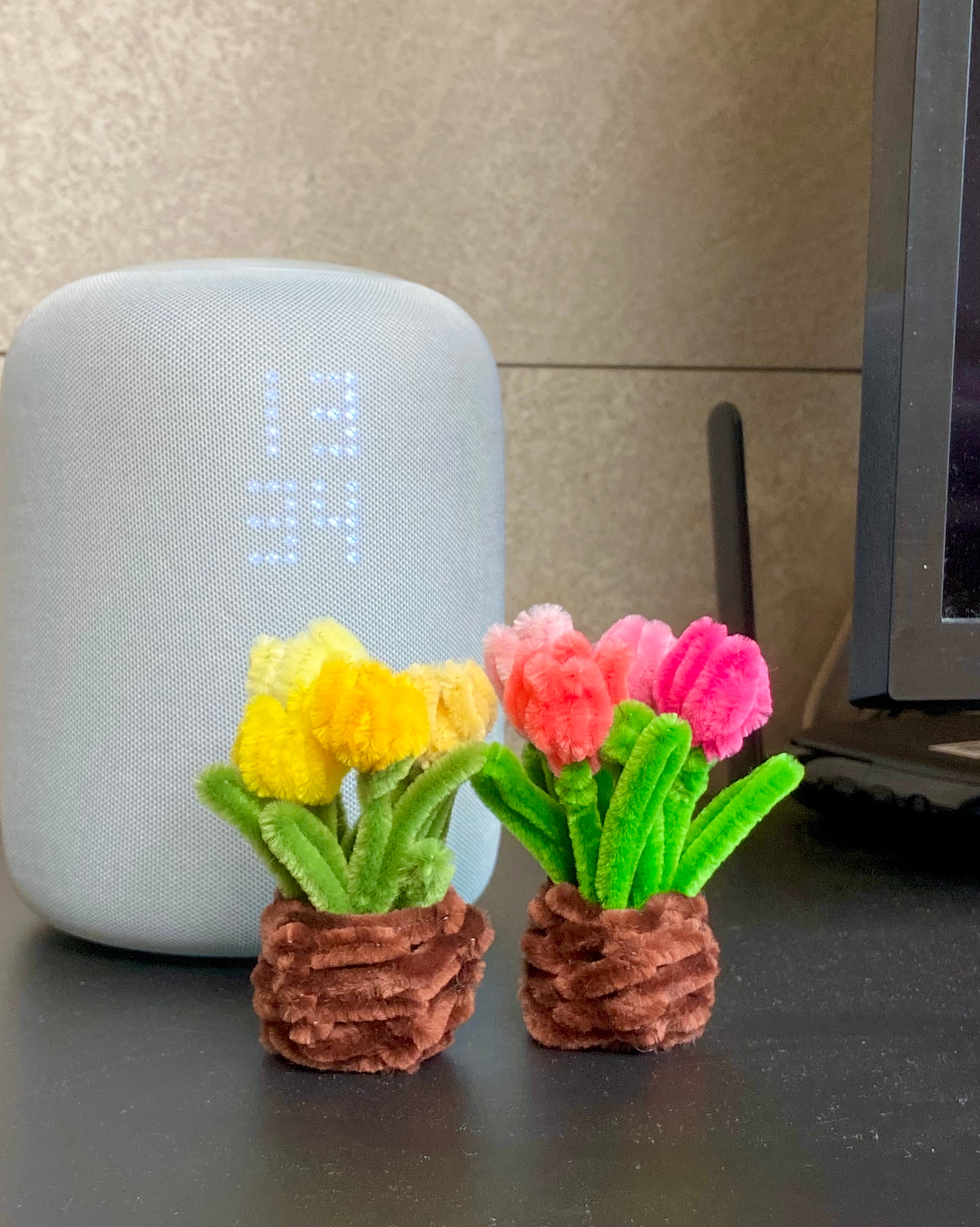 Mini Tulip Flower Pot DIY Kit