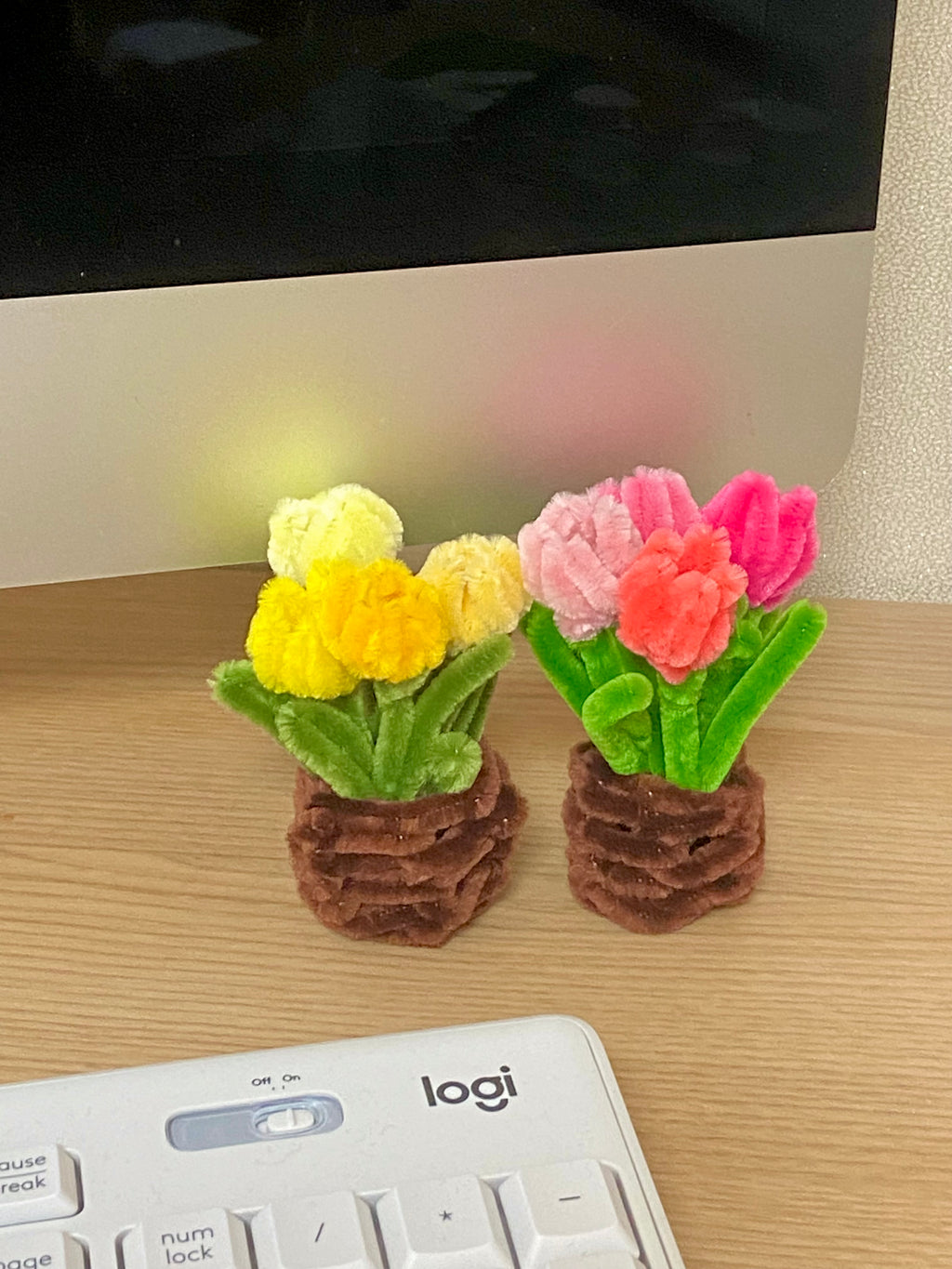 Mini Tulip Flower Pot DIY Kit